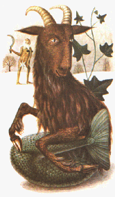 CAPRICORNIO